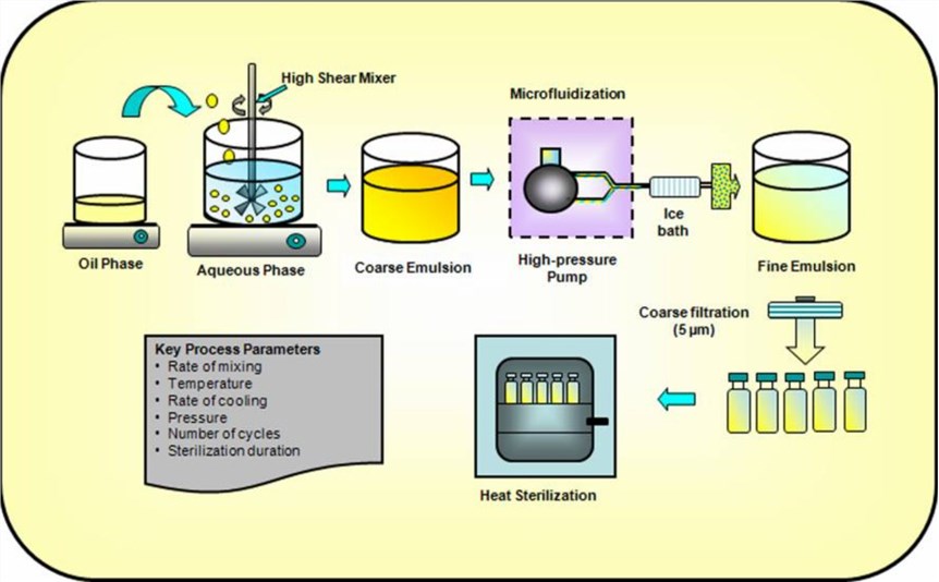 2Key unit operations for preparing injectable lipid emulsions.