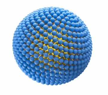Liquid/Semi-Solid Drug Delivery System Development