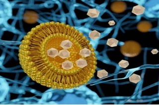 Transdermal Drug Delivery System