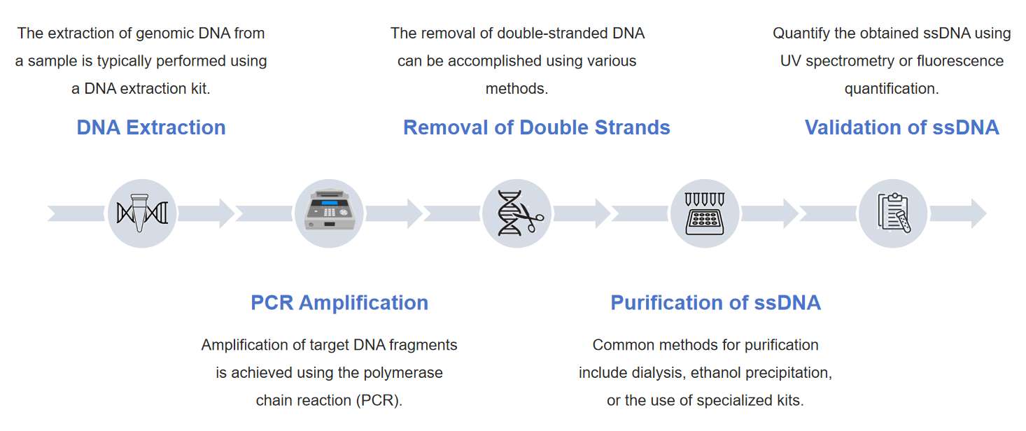 Fig.2 Synthetic bridged nucleic acids (BNAs) by chemical synthesis technology