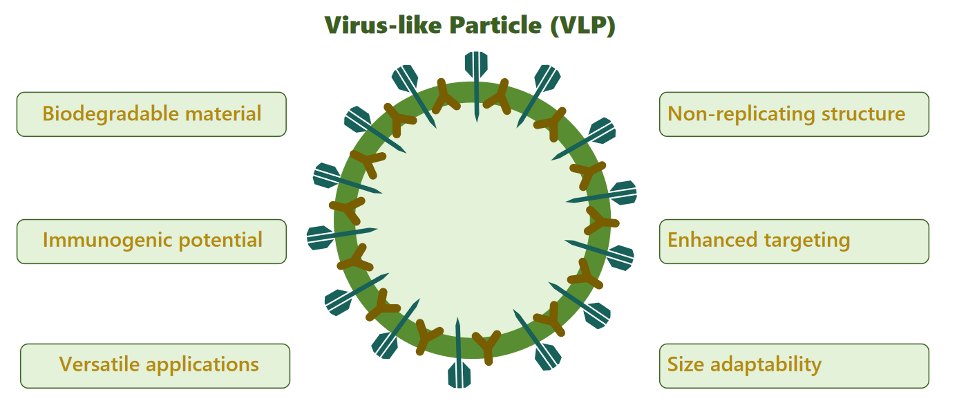 Fig.1 Diagram illustrating VLPs as carriers for nucleic acids.