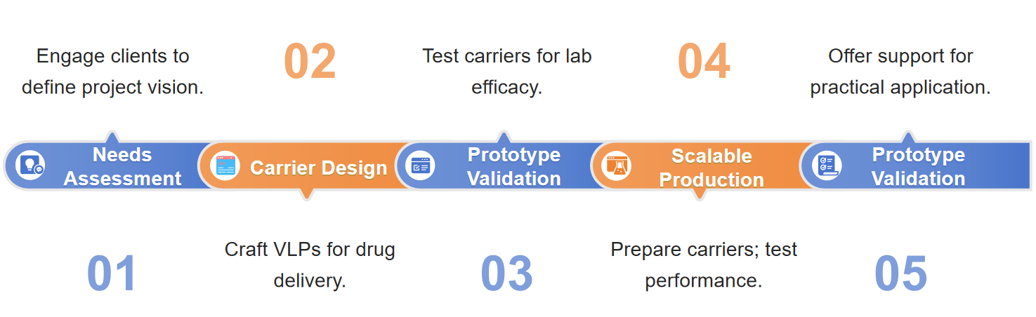Fig.2 Development flow chart for VLPs.