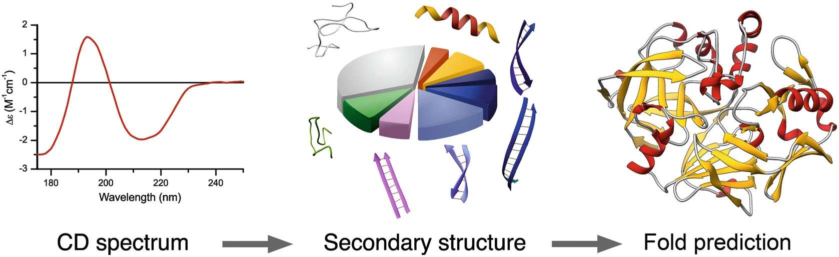 Fig.2 Diagrammatic depiction of the elements of secondary structure.