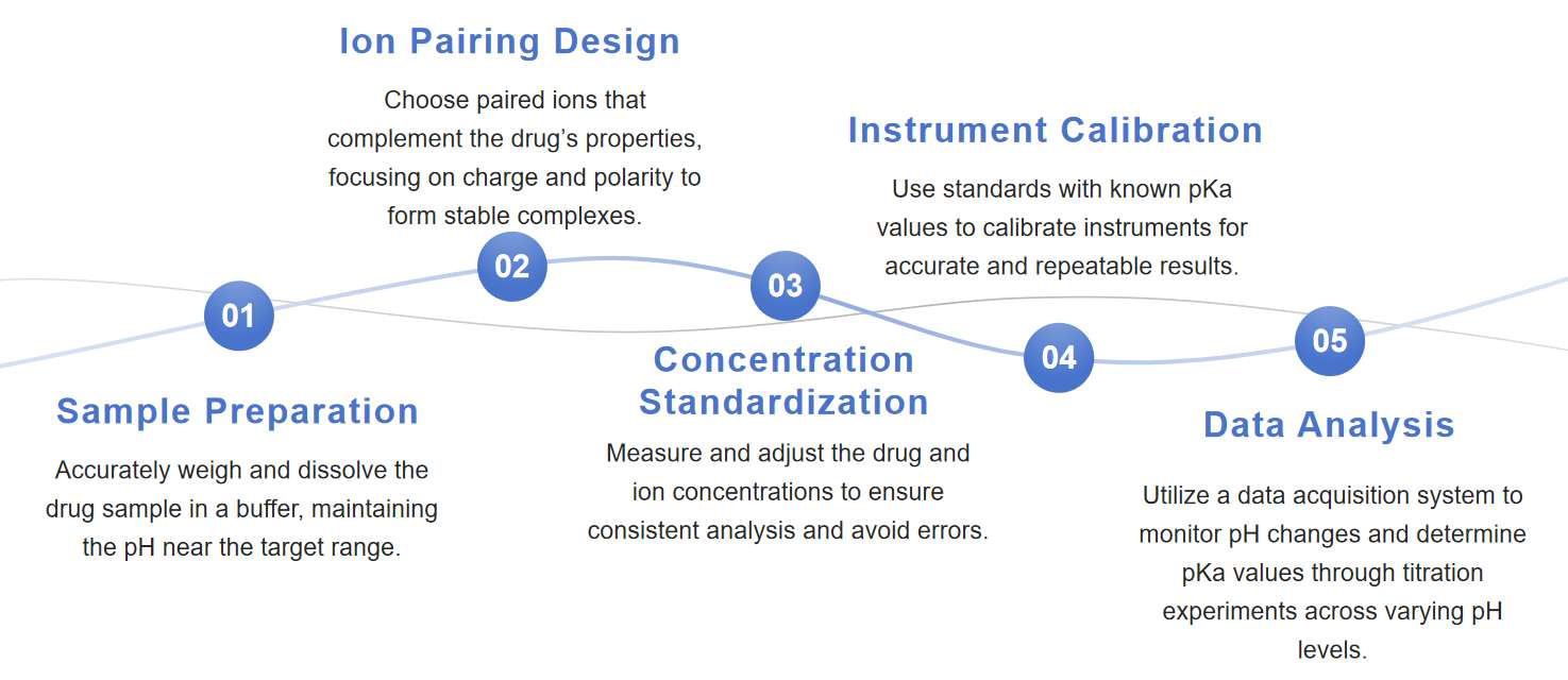 Fig.2 Flow chart of nucleic acid drug pKa determination.