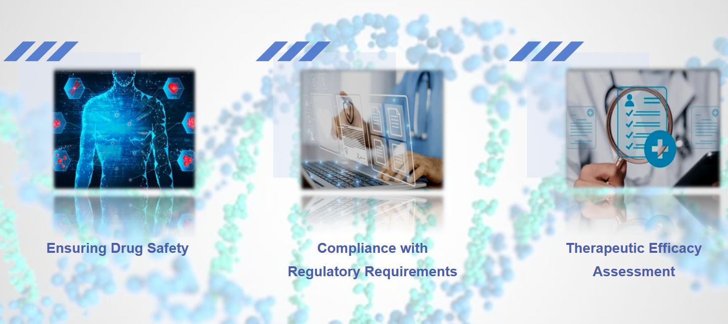 Safety Analysis for Nucleic Acid Drugs - Nucleic Acid Formulation - CD ...