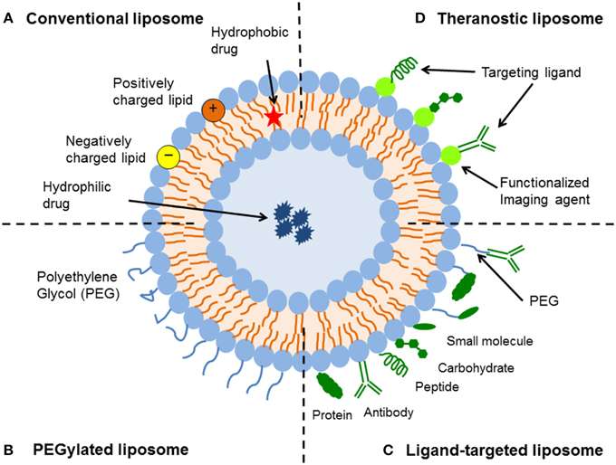 Fig.2 Illustrative depiction of a SLN and a NLC.