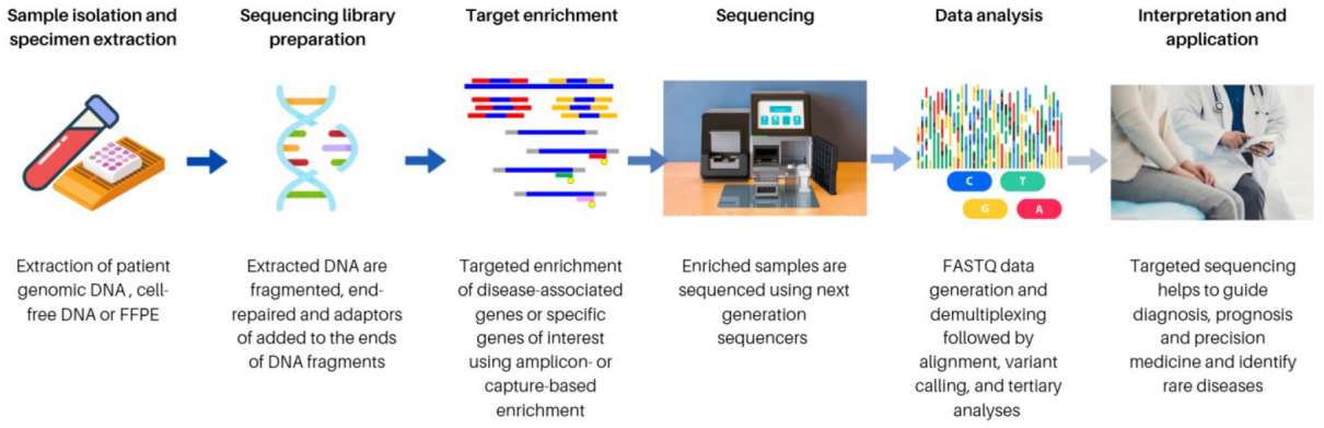 Fig.2 Typical process of an NGS experiment.