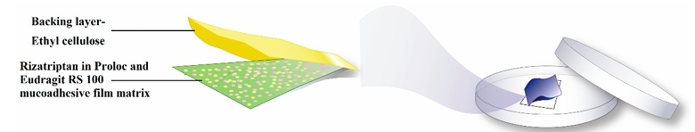 Hydrogel-based mucoadhesive buccal film.