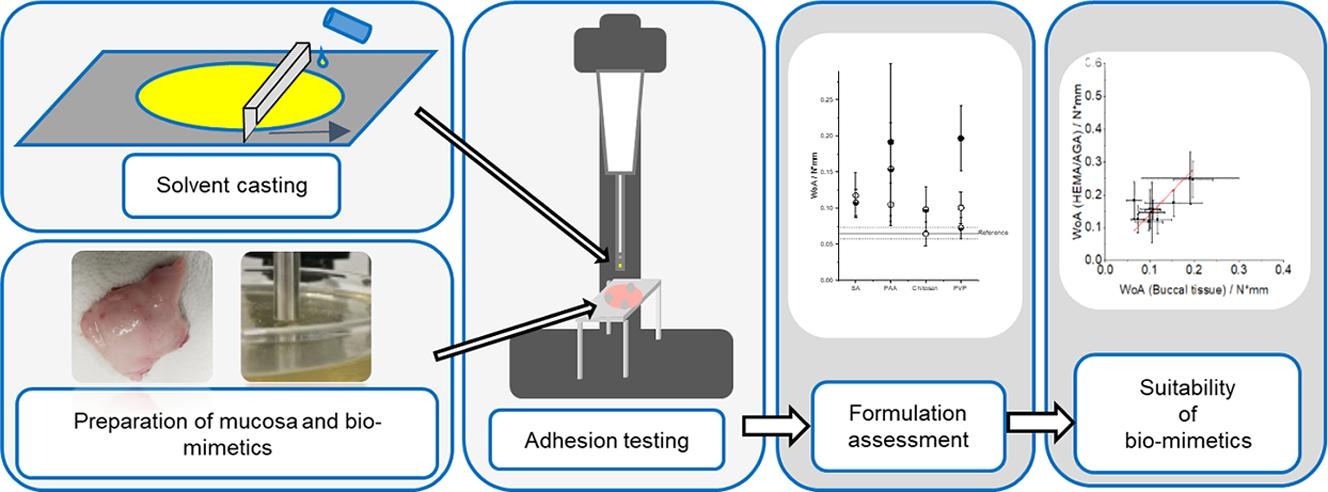 Development of buccal film formulations.