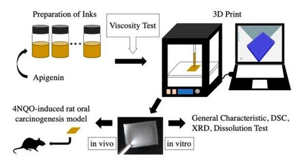 Fig.2 3D-printed mucoadhesive buccal films with apigenin.