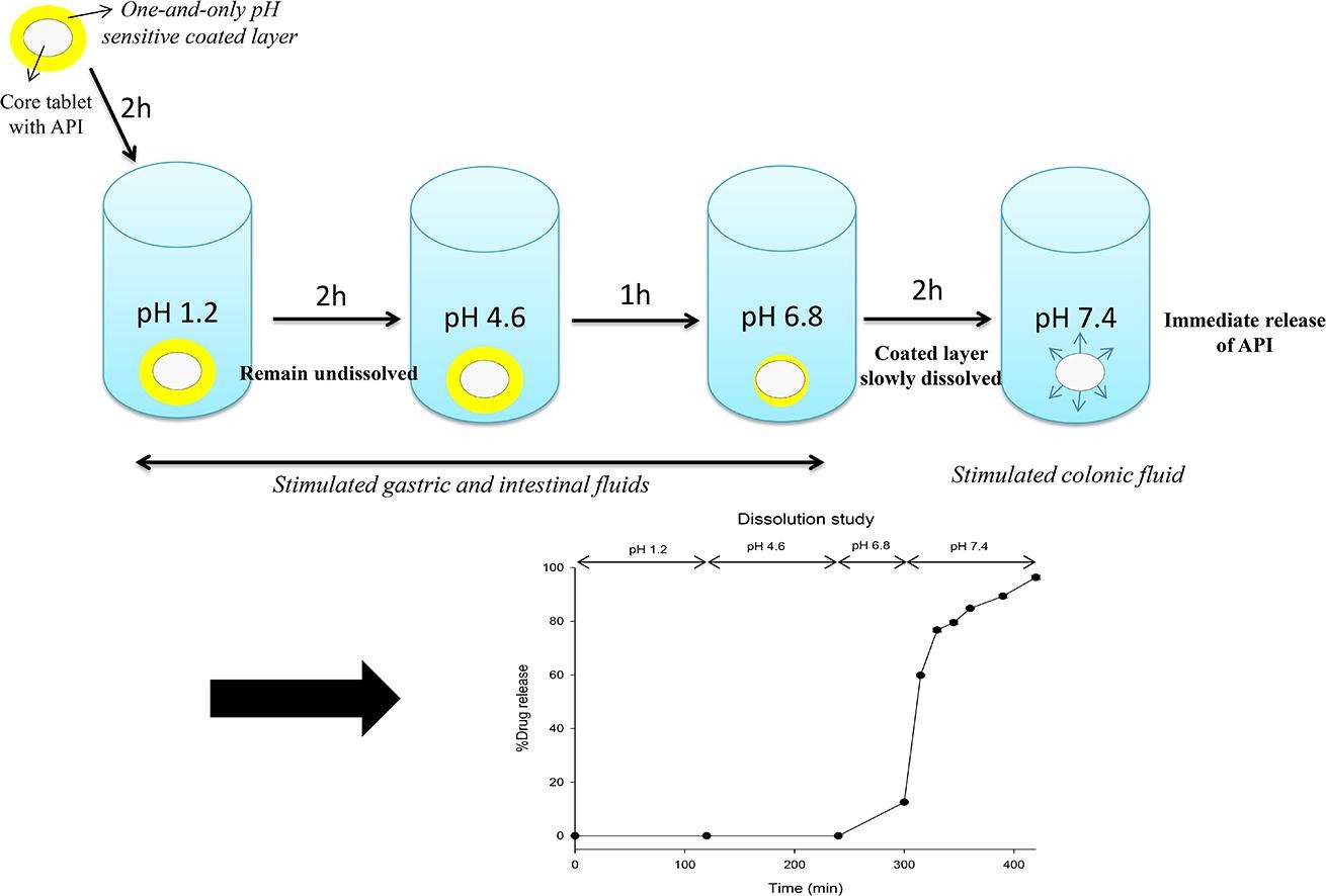 Fig.2 Single-layer film for targeted oral delivery to the colon.