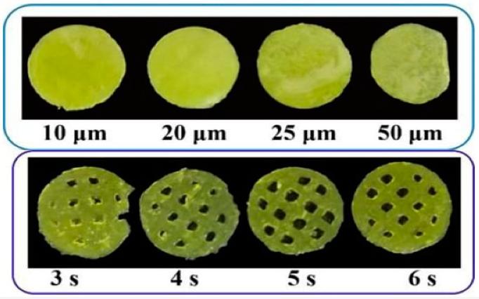 Fig.1 3D-printed bilayer oral films using LCD method.