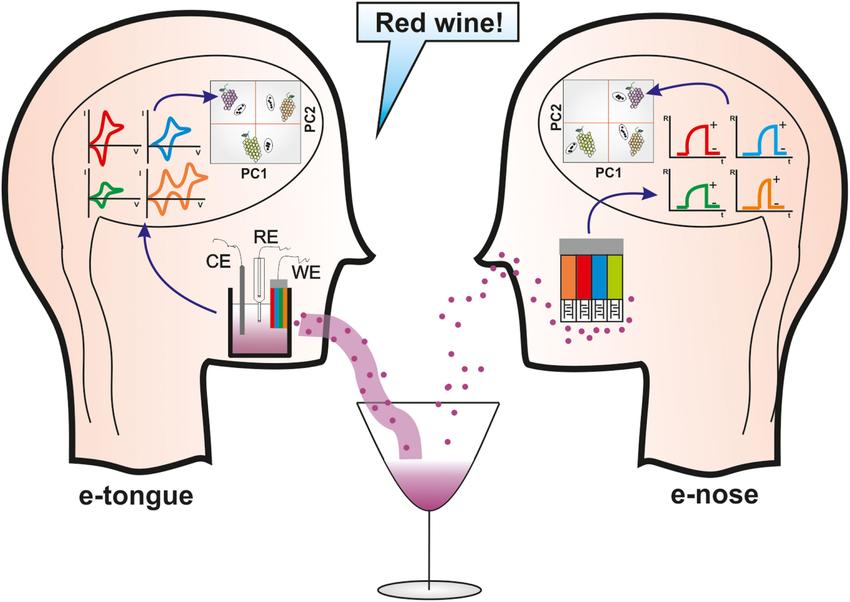 Fig.2 Scheme of the working principle of e-tongues and e-noses. 
