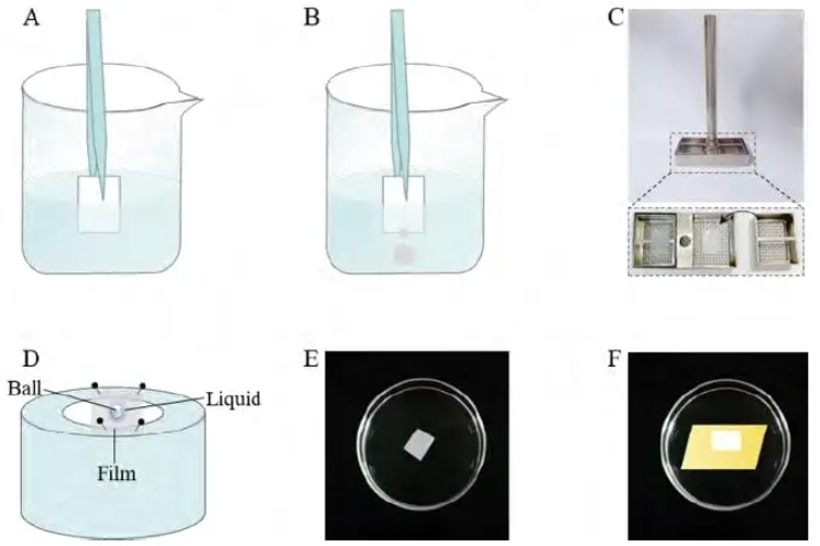 Fig.1 Determine the disintegration behavior of the oral soluble films.