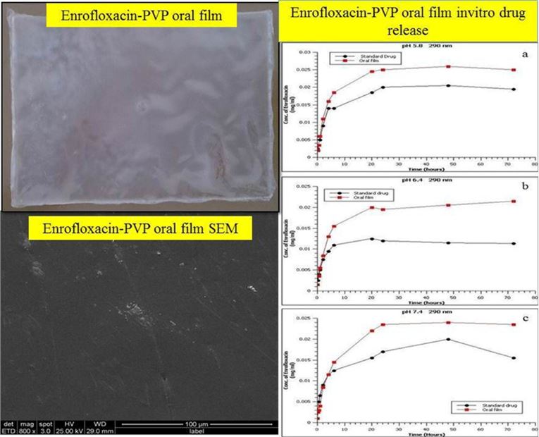 Fig.1 Oral thin film characterization.
