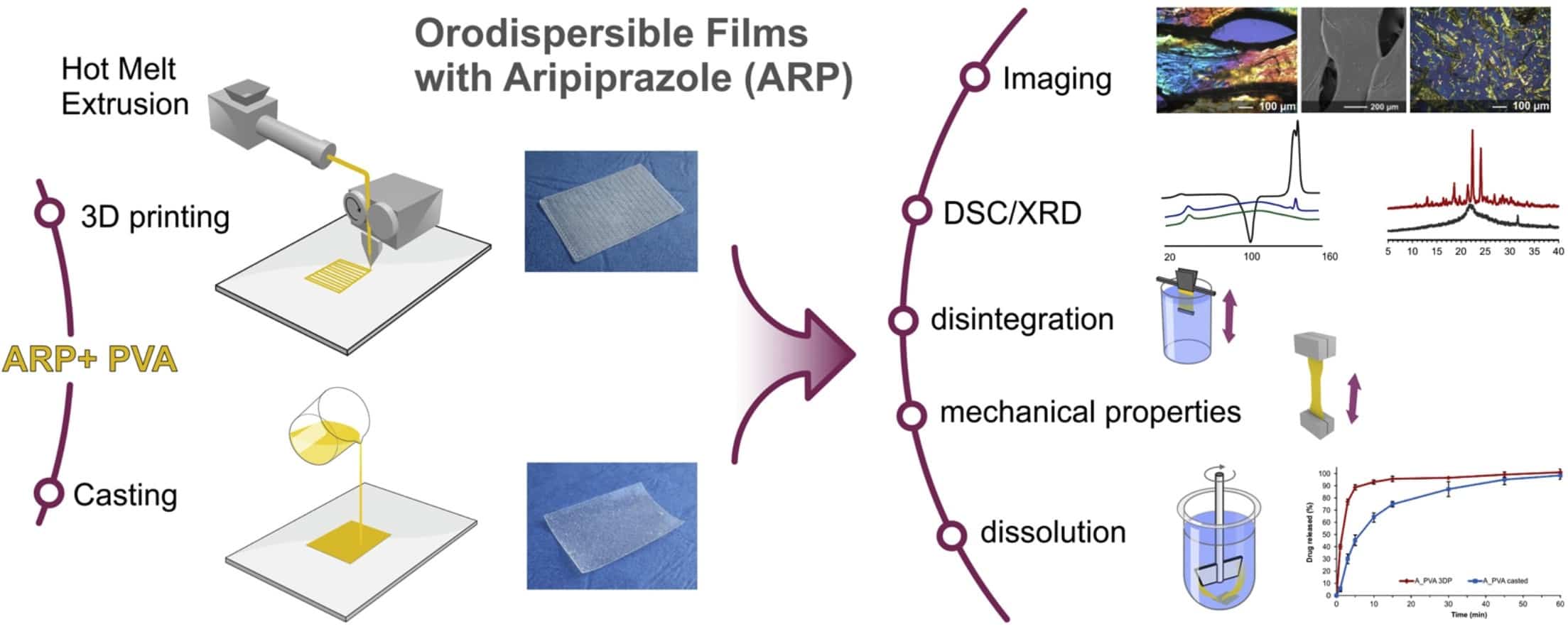 Fig.3 3D printed orodispersible films.