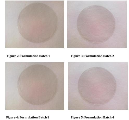 Fig.2 Evaluating Consistency in Oral Thin Film Formulation Batches.