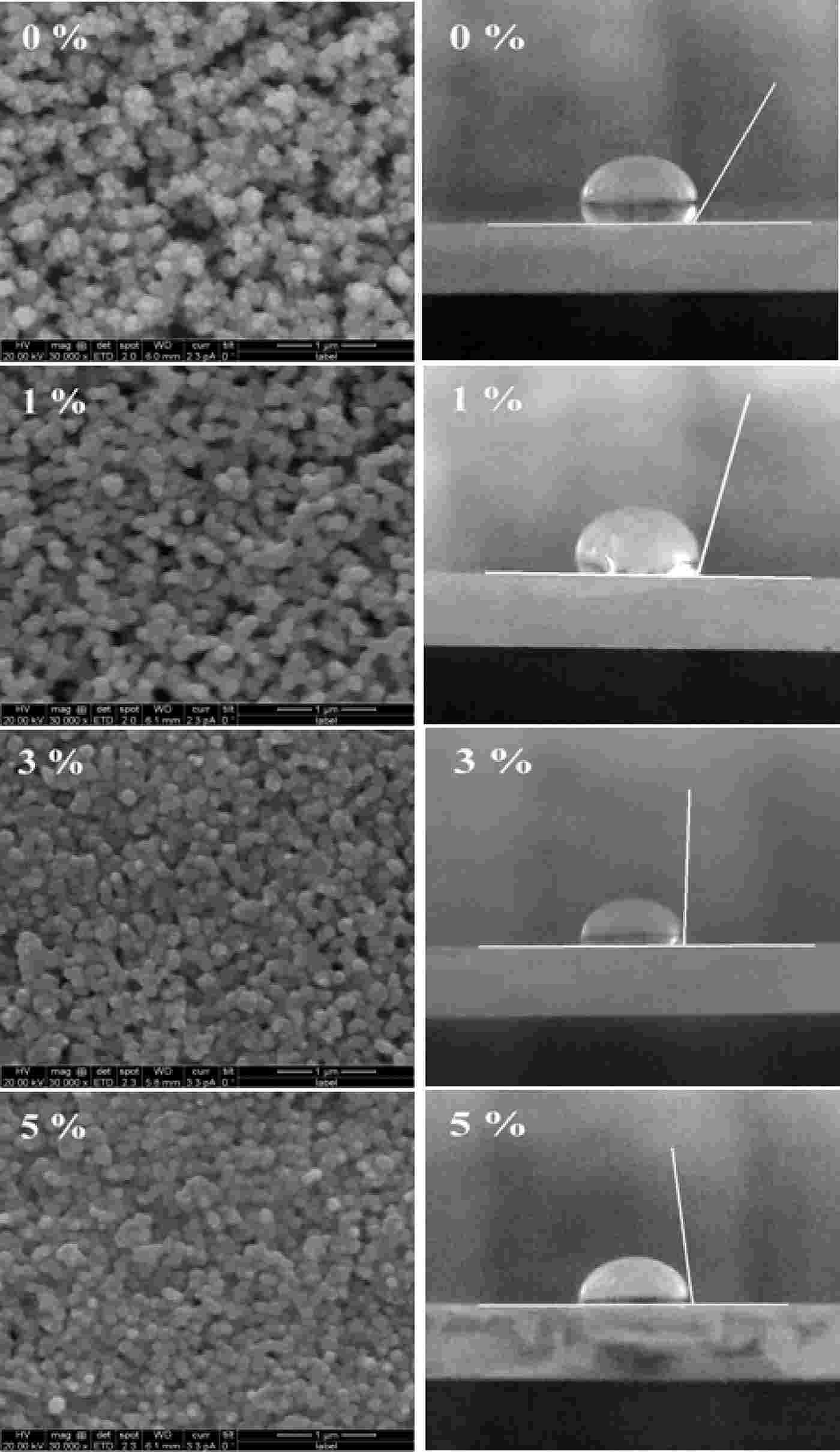 Fig.2 The surface morphology of oral thin films.