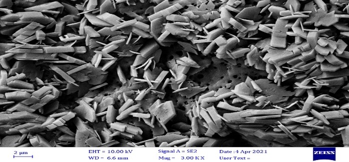 Fig.1 FESEM image of oral film.