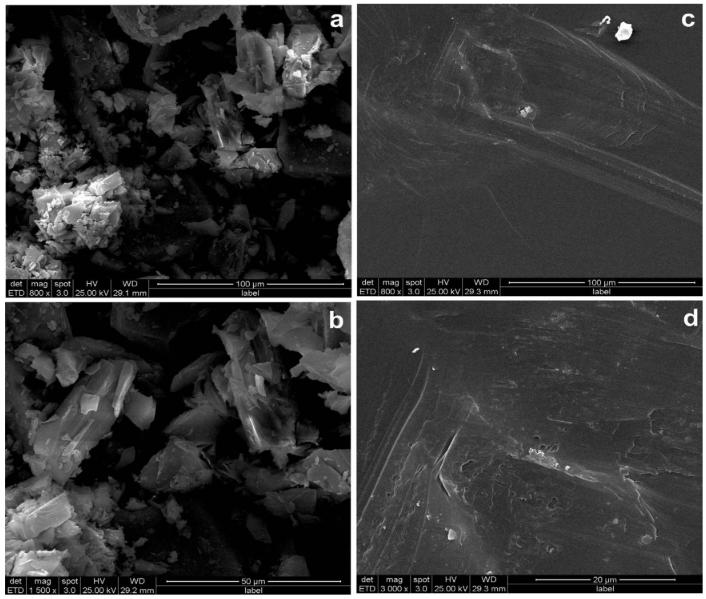 Fig.4 SEM images GLB and PVP-GLB thin film.