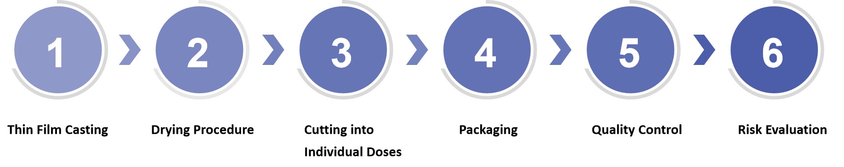 Fig.1 Our Workflow of Oral Thin Film Preclinical Manufacturing Services.