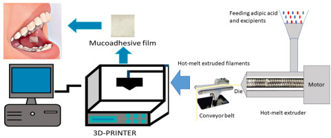 Fig.2 Production of Mucoadhesive Buccal Films Using 3D Printing.