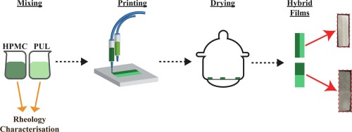 Fig.4 3D Printing Oral Films Using Pullulan and Hydroxypropyl Methylcellulose.