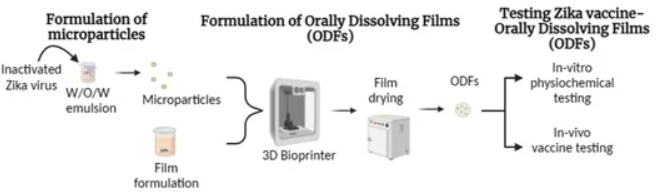 Fig.4: Buccal administration of a Zika virus vaccine using 3D-printed oral dissolving films.