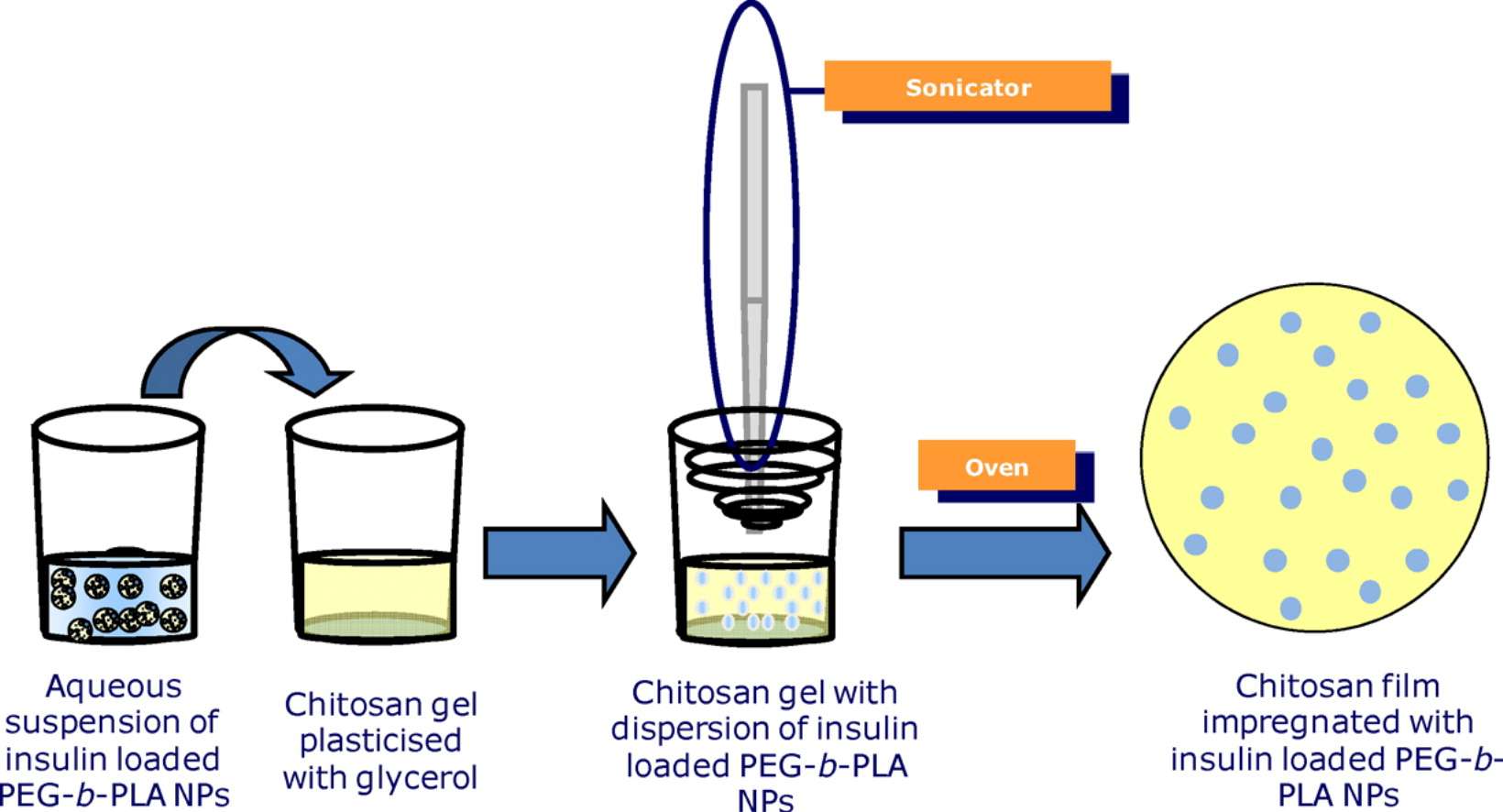 Fig.1 Chitosan film development impregnated with insulin for oral thin film drug delivery.