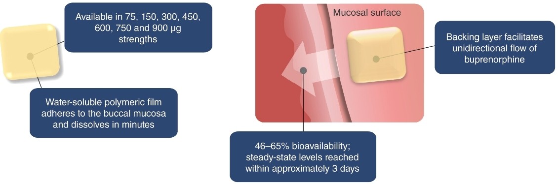 Fig.1 Buprenorphine buccal film.