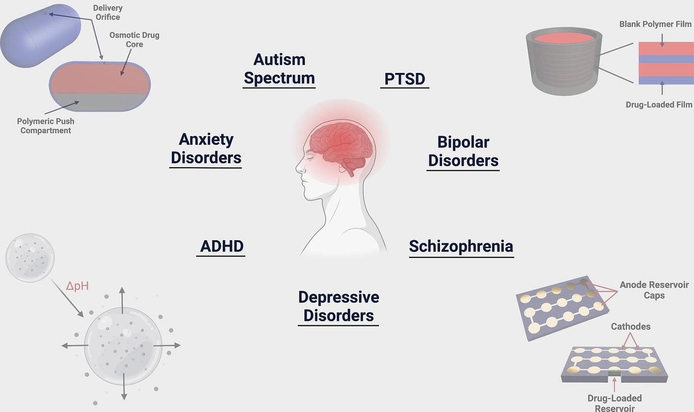 Fig.2 Drug delivery in psychiatry.