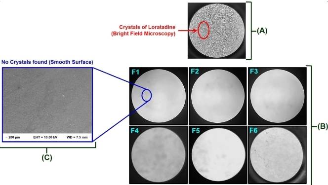 Fig.3 Bright field microscopy image of Sublingual Fast-Dissolving Thin films.