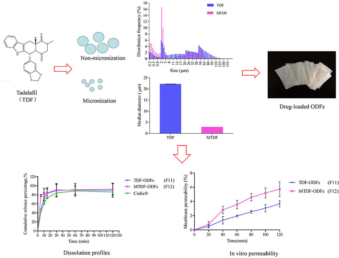Fig.1 Formulation development of oral thin film formulations for erectile dysfunction.