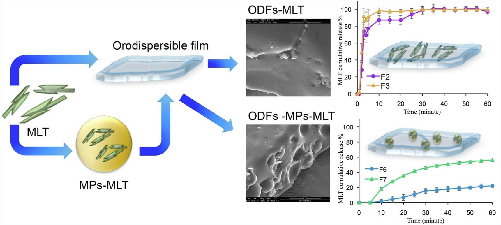 Fig.2 Oral thin film delivery platform.