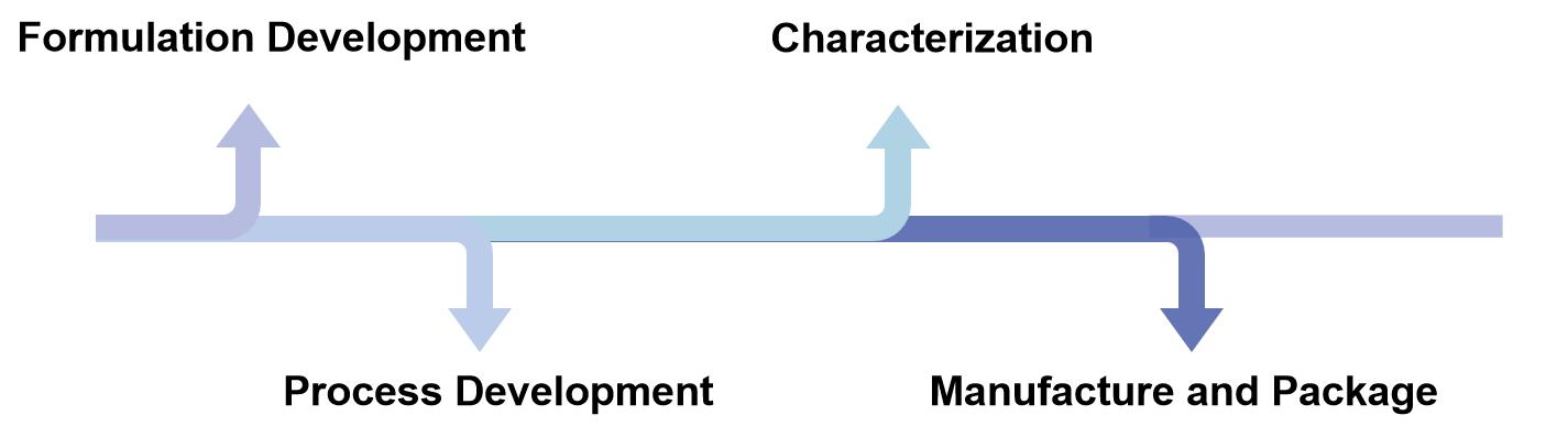 Fig.3 Development process of sleep oral thin film.