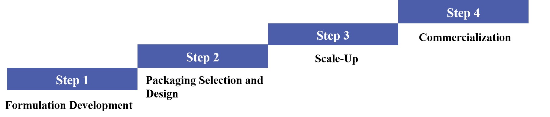Fig.1 Development process of focus oral thin film.