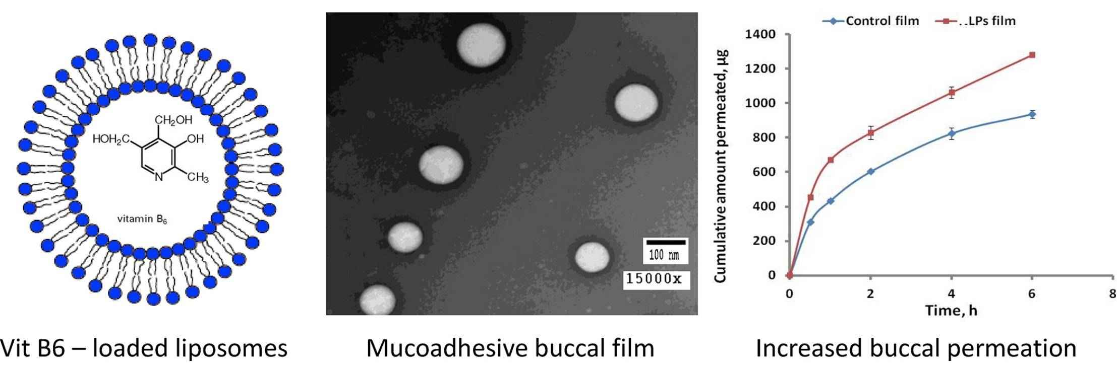 Fig.1 Development of buccal mucoadhesive film for delivering vitamins.