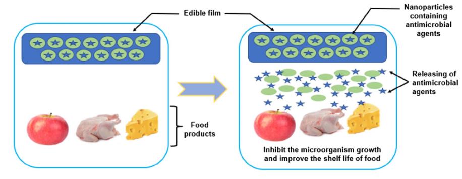 Fig.2 Nanoparticle-Infused Edible Films with Antimicrobial Agents for Food Shelf Life Extension