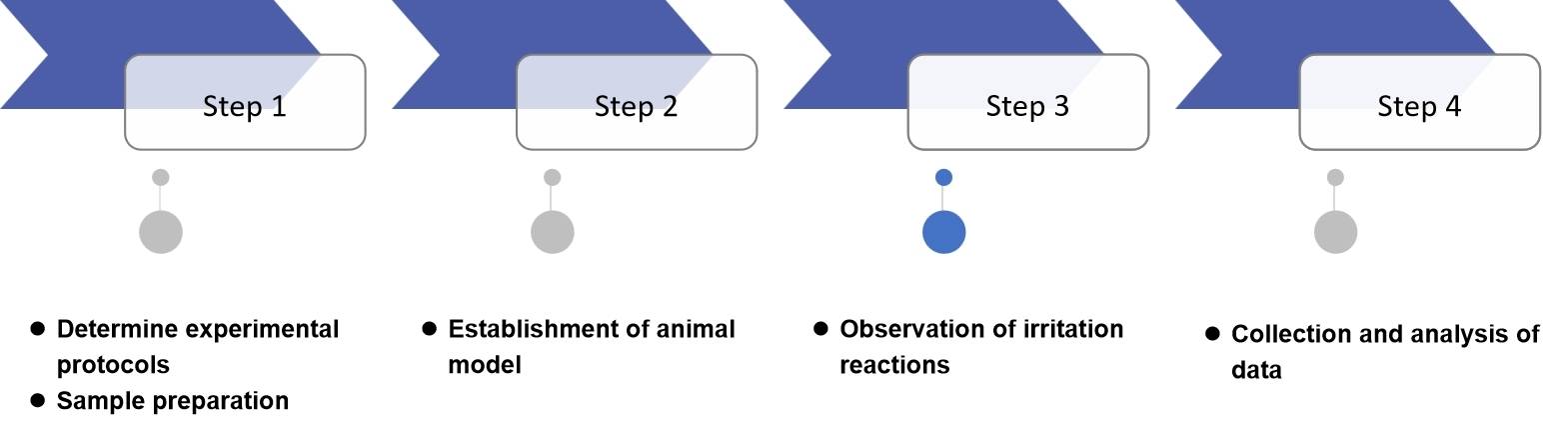Fig.1 Workflow of Oral Thin Film Irritation Study Services.
