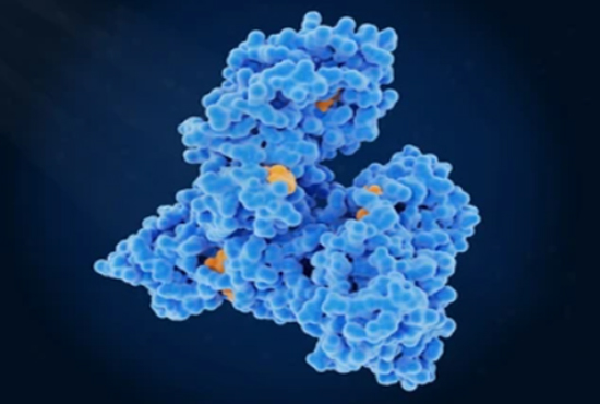 Therapeutic Peptides Production