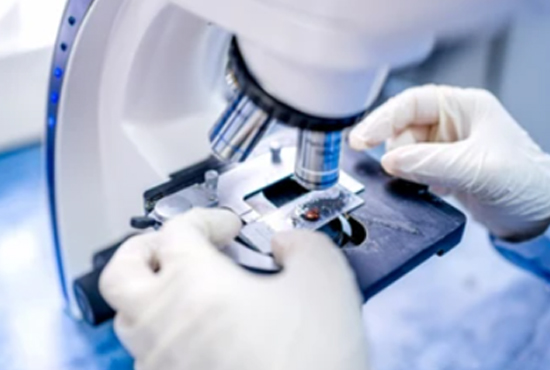 Therapeutic Protein& Peptide Characterization