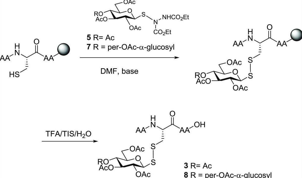 Fig. 2 Disulfide-linked-glycosylation of peptides.