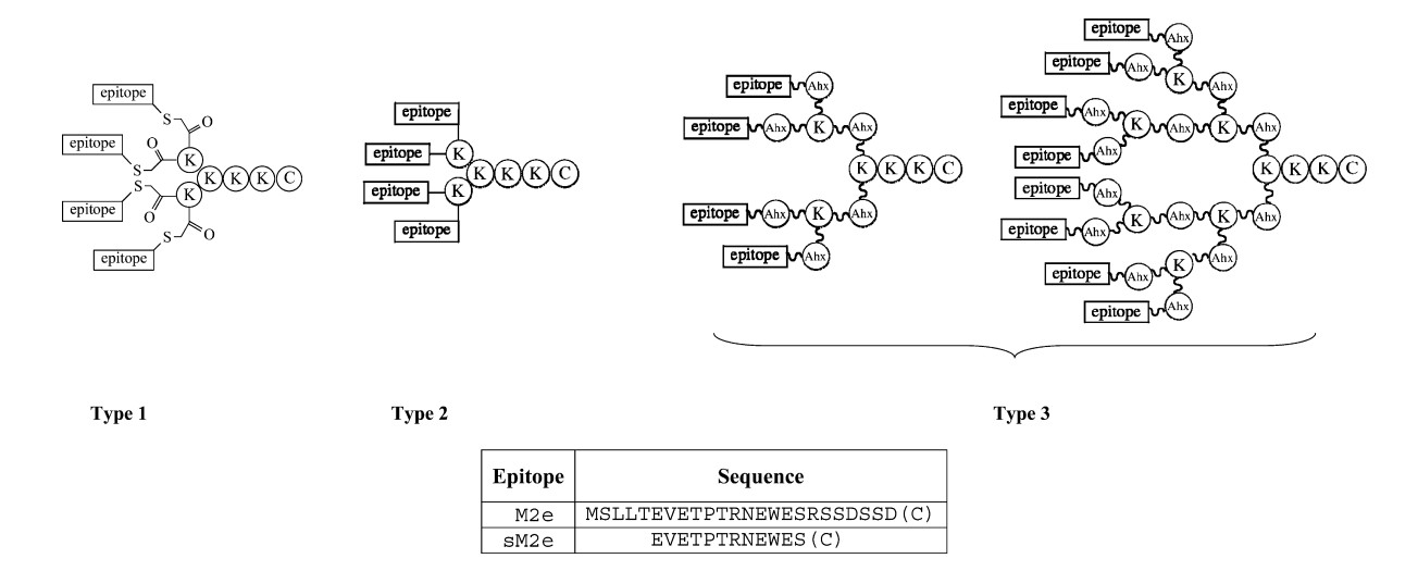 Fig. 2 General structures of the different MAPs.