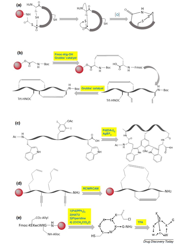 Fig. 2 Chemical synthesis of bicyclic peptides.