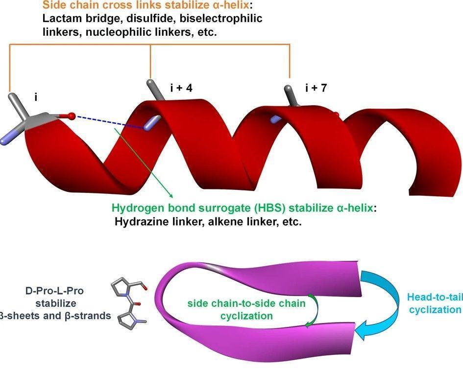 Fig. 1 Strategies of peptide cyclization.