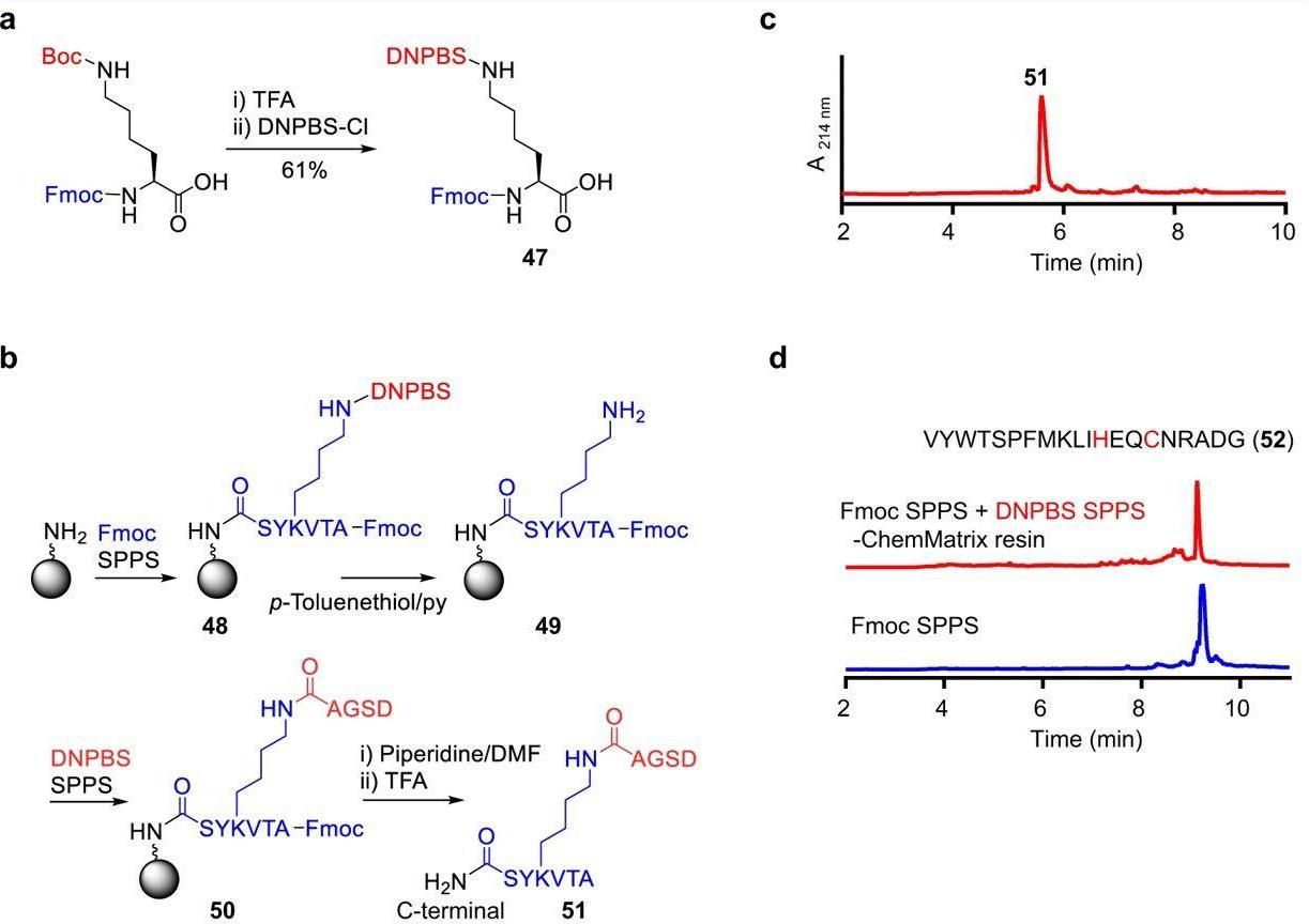 Fig. 2 Synthesis of long and complex peptides.