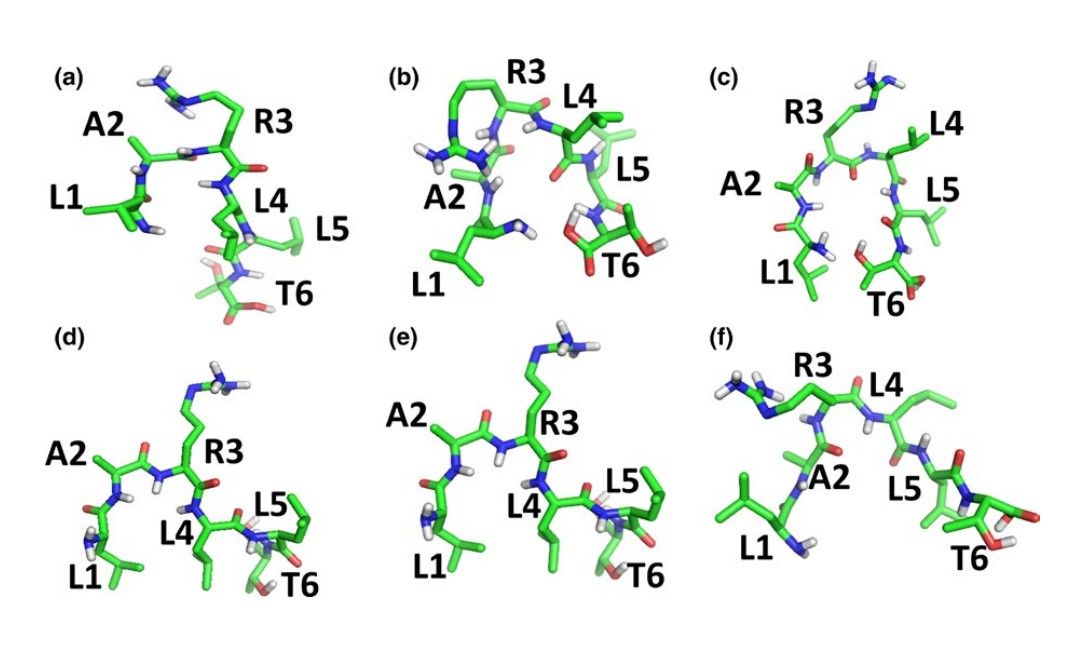 Fig. 2 The linear peptide in its binding pocket on EGFR.