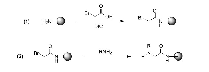 Fig. 2 Sub-monomer synthesis of peptoid. 