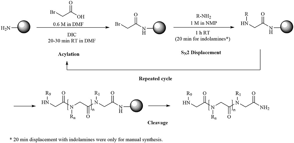 Fig. 3 Peptoid synthesis of indole-rich peptoids.