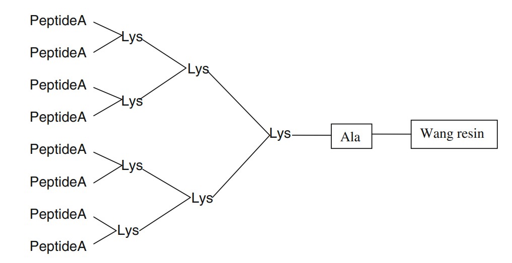 Fig. 1 Structure a MAP.